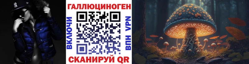 Галлюциногенные грибы GOLDEN TEACHER  кракен как войти  Новороссийск  где купить наркотик 